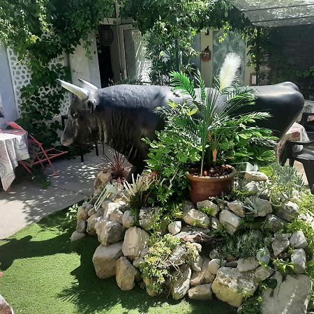Hotel La Tour Des Fees Quissac  外观 照片